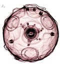 Orb