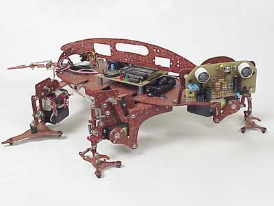 Gecko Robot by Roger Arrick